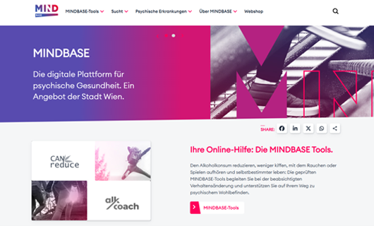 Scsh Mindbase Fin