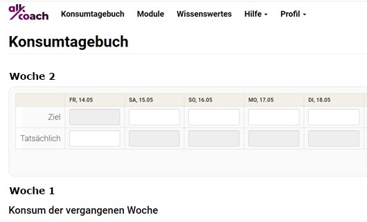 Screenshot Konsumtagebuch